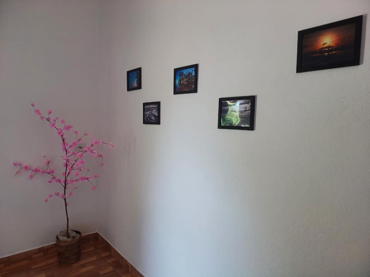 Вилла Casa Jubarte Кумурушатиба Экстерьер фото